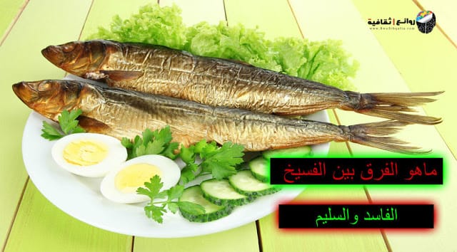 الفرق بين الفسيخ الفاسد والسليم