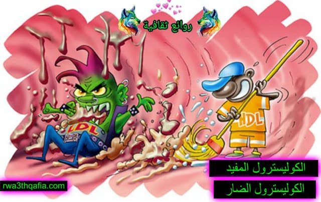 الكوليسترول المفيد والكوليسترول الضار