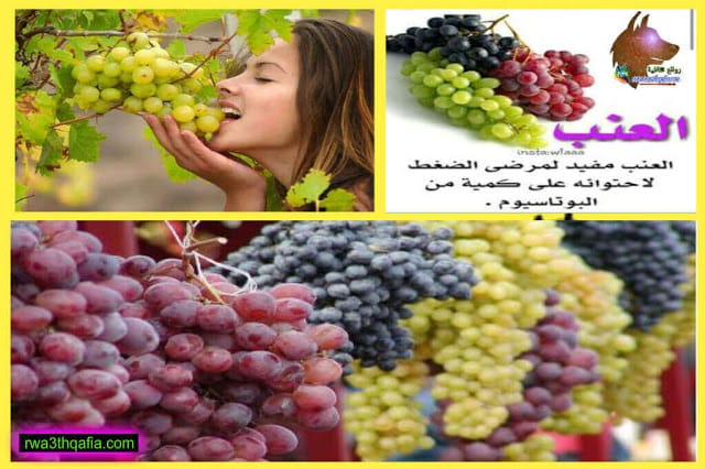 فوائد العنب دواء وغذاء